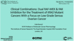 Synergistic Combinations With the Dual RAF/MEK Inhibitor Avutometinib