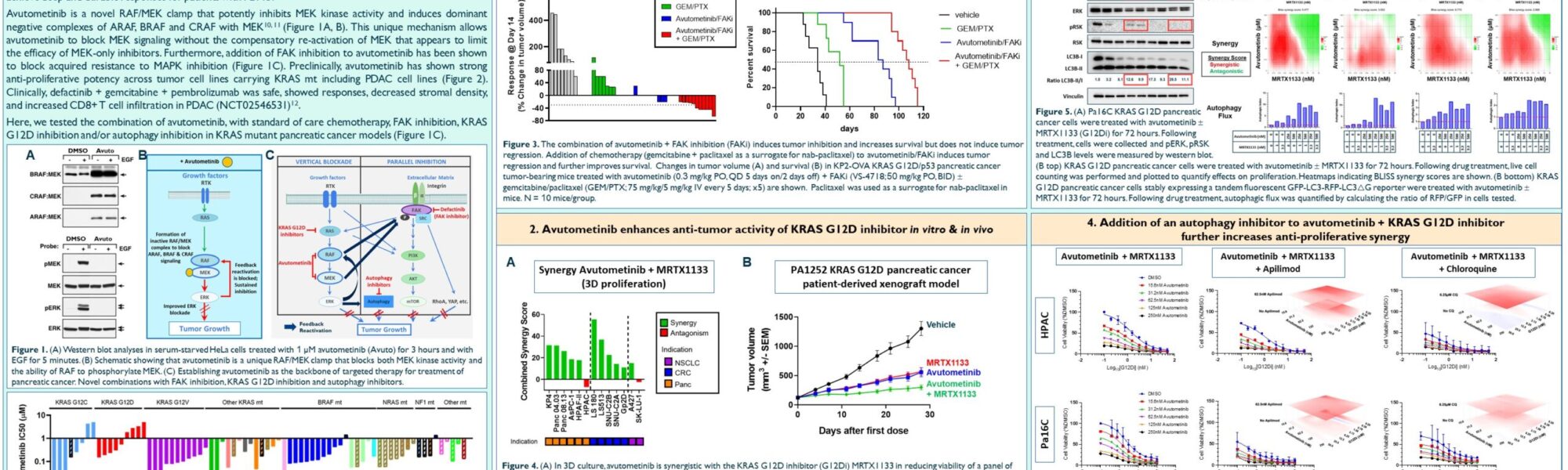 The RAF/MEK clamp avutometinib study