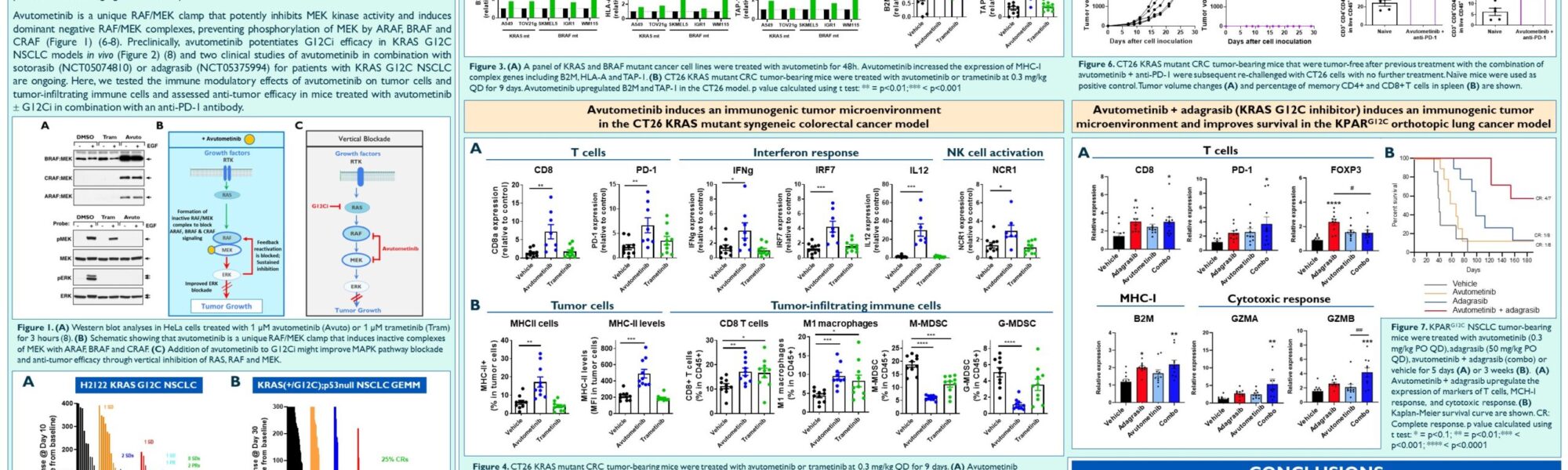 The RAF/MEK clamp avutometinib study