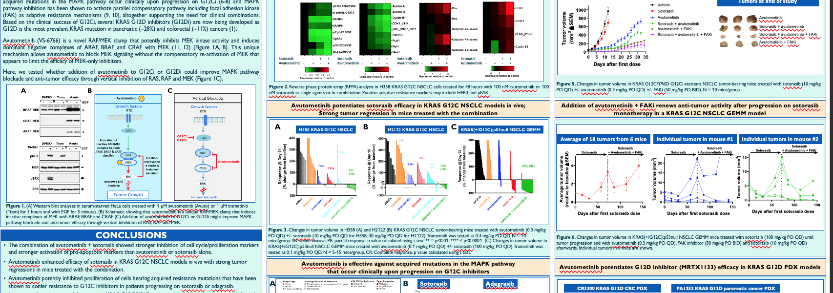 The RAF/MEK clamp avutometinib enhances antitumor efficacy study