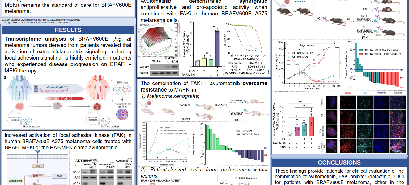 FAK inhibition combined with the RAF/MEK clamp avutometinib research