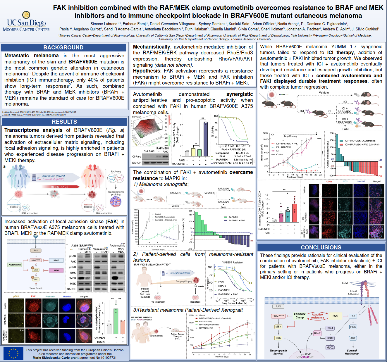 FAK inhibition combined with the RAF/MEK clamp avutometinib overcomes ...