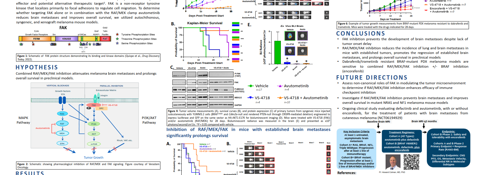 Combined inhibition of RAF, MEK, and FAK attenuates melanoma brain metastases research