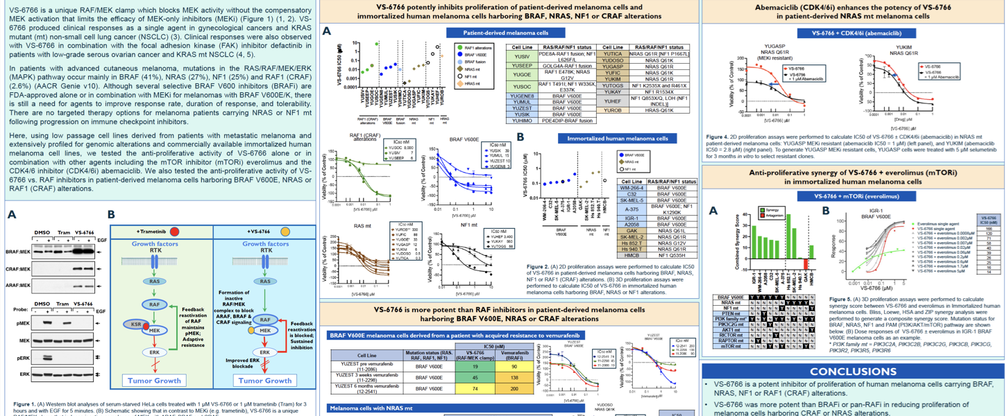 The RAF/MEK clamp Avutometinib research
