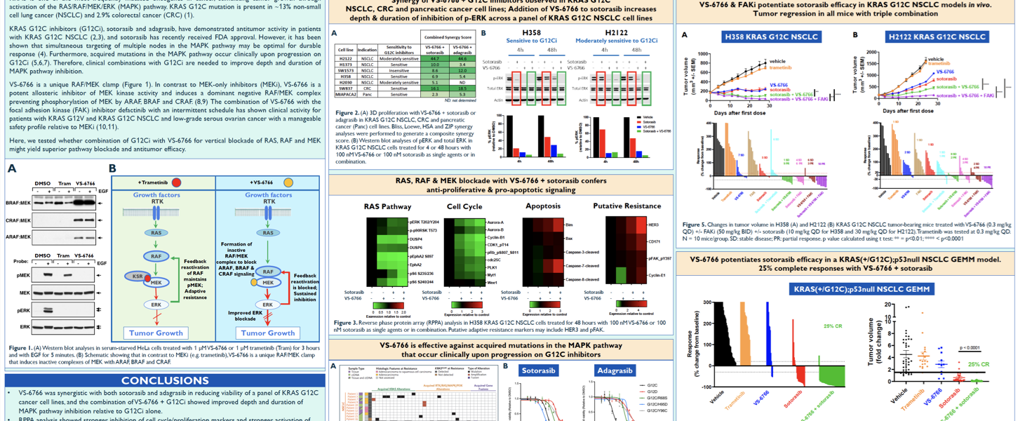 The RAF/MEK clamp Avutometinib research